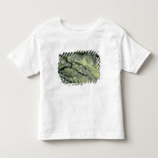 Savannah, Georgia, Live Oak tree draped with Toddler T-shirt (Front)