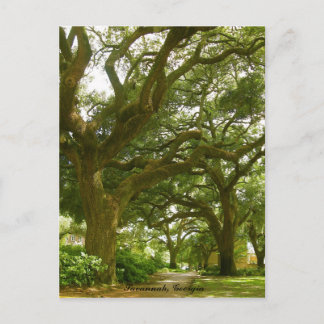 Savannah Georgia Postcard