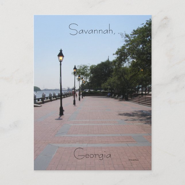 Savannah, Georgia Postcard (Front)