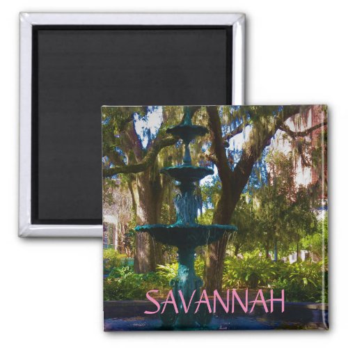 Savannah magnet 17