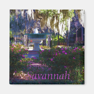 Savannah magnet 18