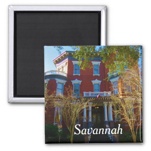 Savannah magnet 6