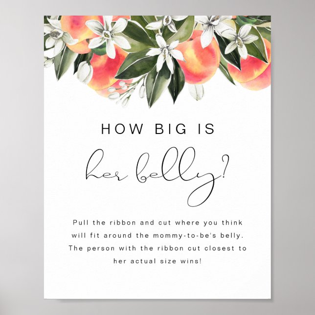 SAVANNAH Peach How Big Her Belly Baby Shower Poster (Front)
