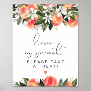 SAVANNAH Peach Love is Sweet Treat Favor Table  Poster