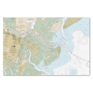 Savannah River and Wassaw Sound Chart Version 2