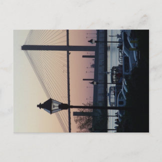 Savannah River Street Postcard