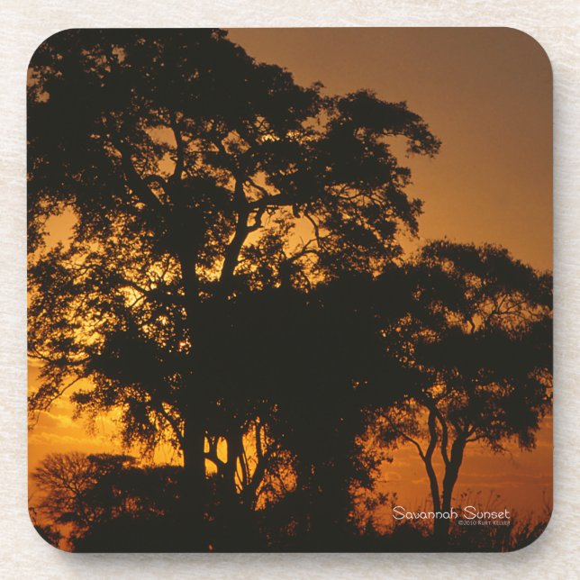 Savannah Sunset Beverage Coaster (Front)