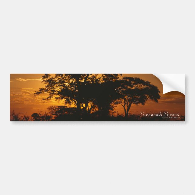 Savannah Sunset Bumper Sticker (Front)