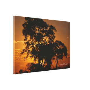 Savannah Sunset Canvas Print