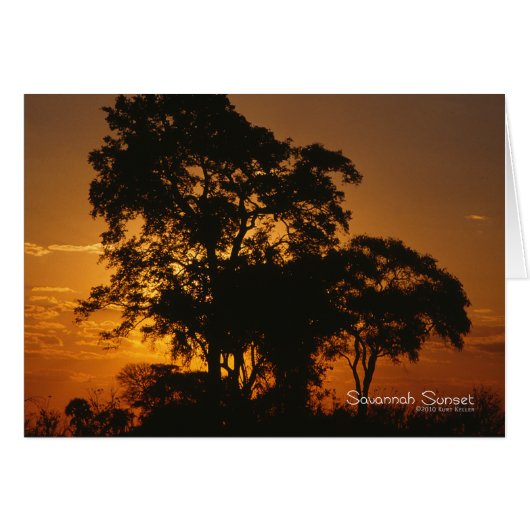 Savannah Sunset Cards (Front Horizontal)
