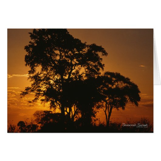 Savannah Sunset Cards (Front Horizontal)
