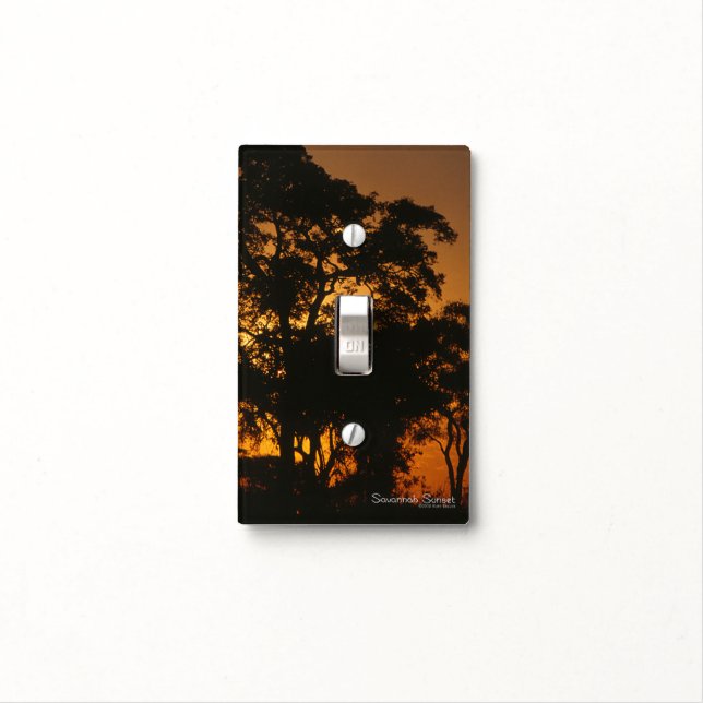 Savannah Sunset Light Switch Cover (In Situ)