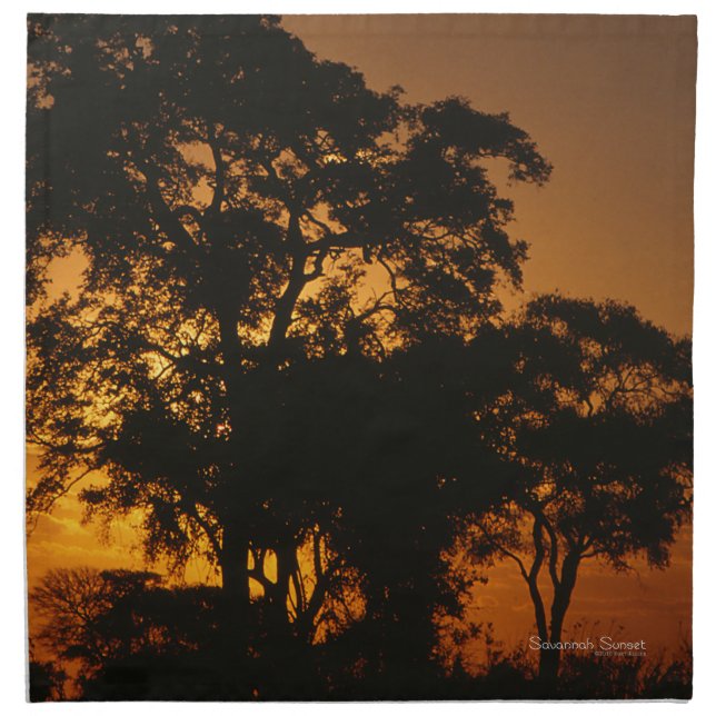 Savannah Sunset Napkin (Front)
