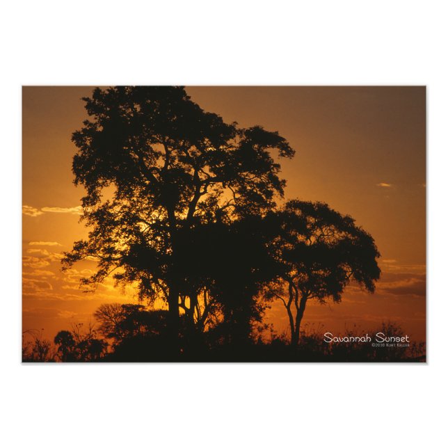 Savannah Sunset Photo Print (Front)