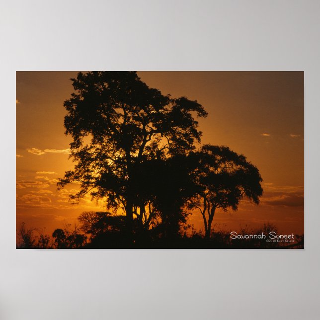 Savannah Sunset Poster (Front)
