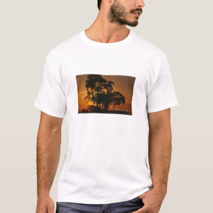 Savannah Sunset T-Shirt