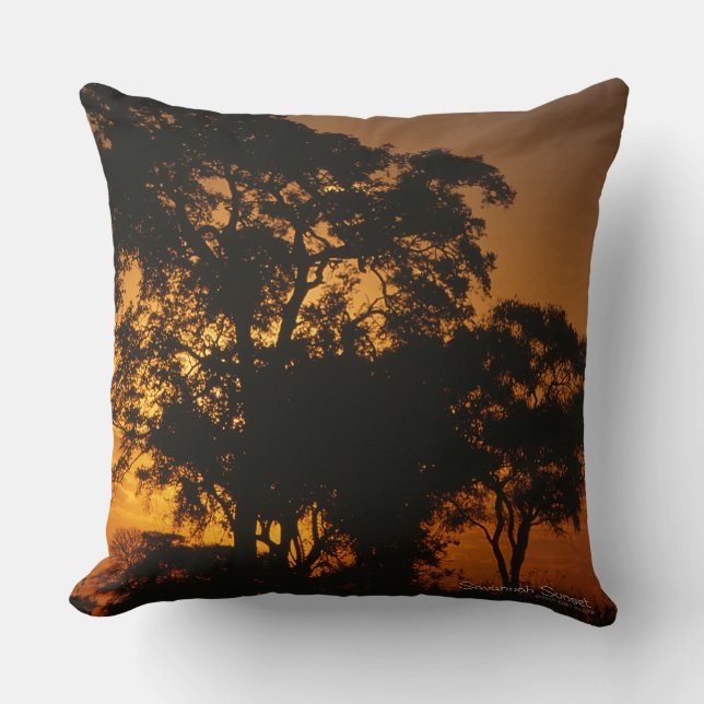 Savannah Sunset Throw Pillow (Front)