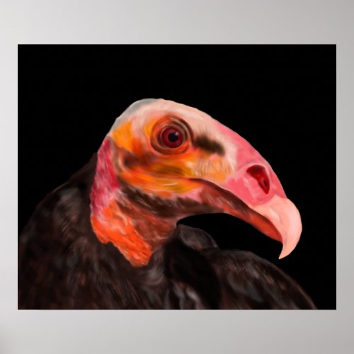 Savannah Vulture Poster