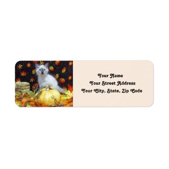 Savannah's Fall Address Labels - Cute Cat by CatsEyeViewGifts at Zazzle