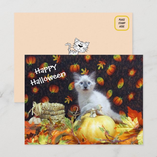 Savannah's Halloween Postcard - Siamese Cat Pic (Front/Back)