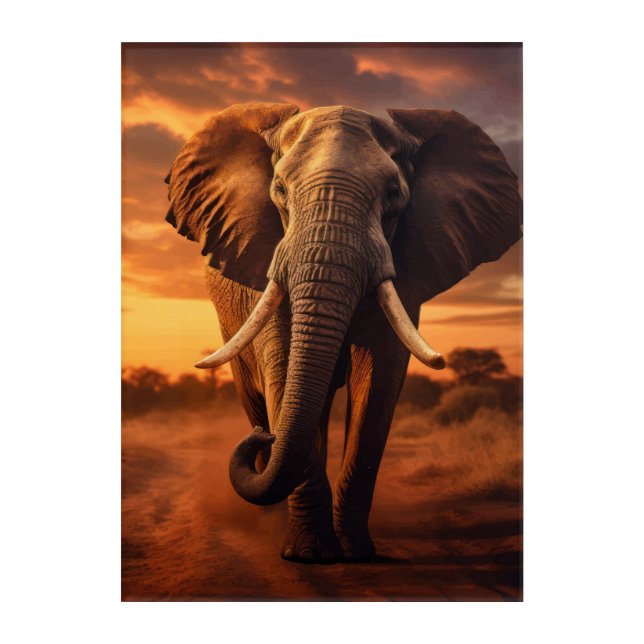 Savannahs Majesty Acrylic Print (Front)