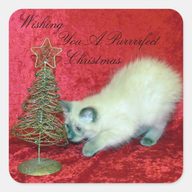 Savannah's Playful Christmas - Kitten / Cat Square Sticker (Front)