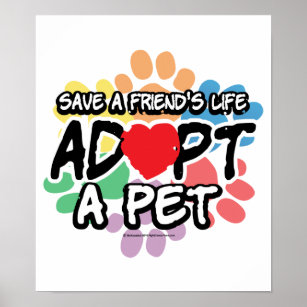 adopt a pet