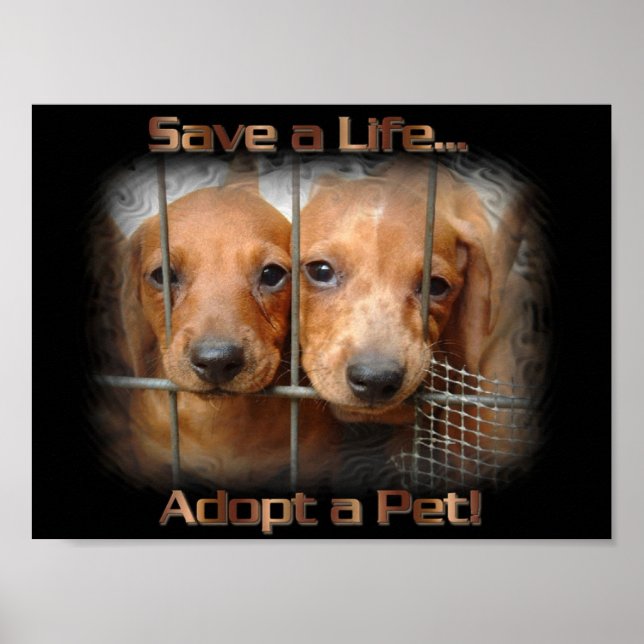 Save a Life Adopt a Pet poster (Front)