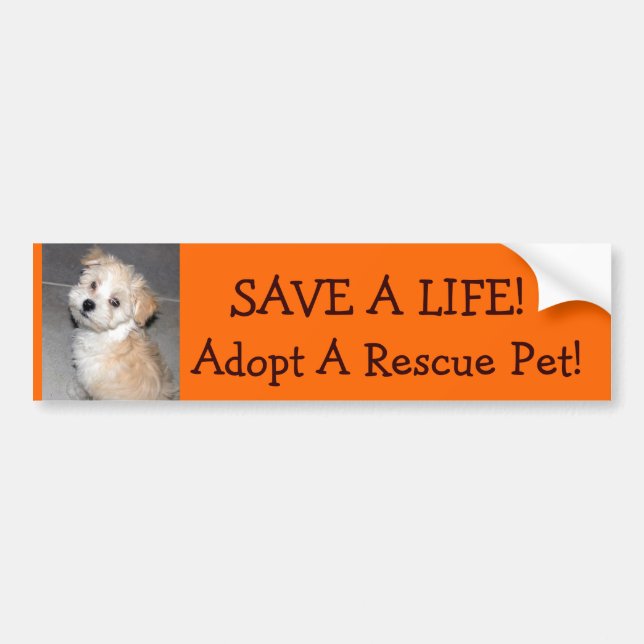 SAVE A LIFE!, Adopt A Rescue .Pet!.. Bumper Sticker (Front)