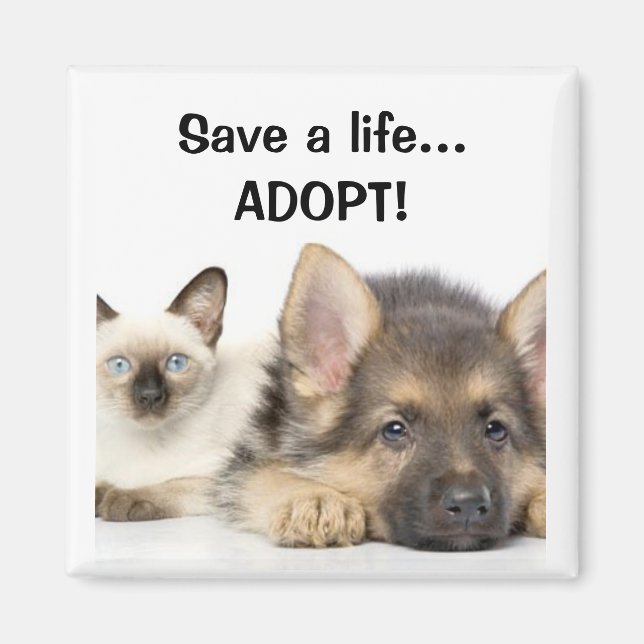 Save a life... ADOPT! Magnet (Front)