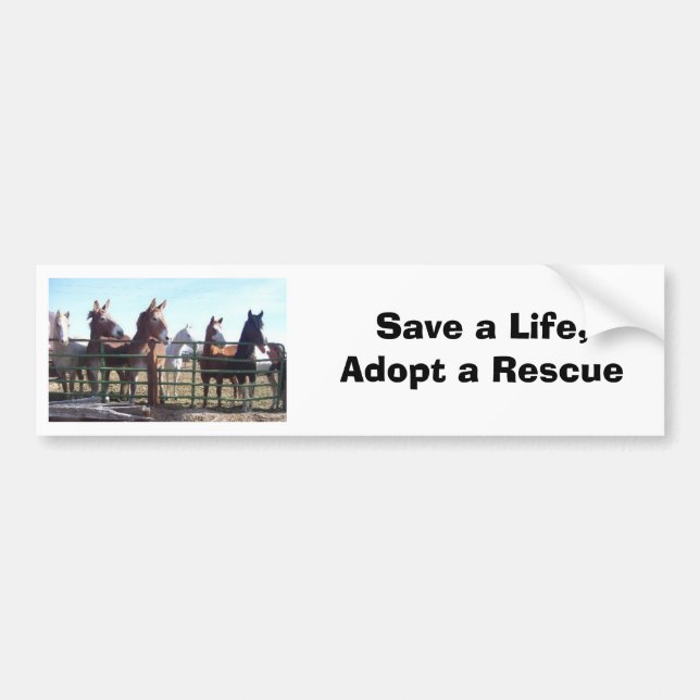 Save A Life Bumper Sticker (Front)