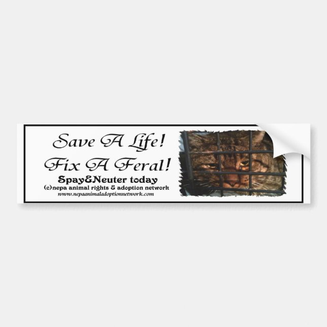 Save A Life Fix A Feral Bumper Sticker (Front)
