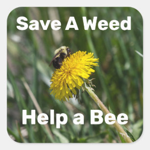 Save A Weed, Help A Bee Square Sticker