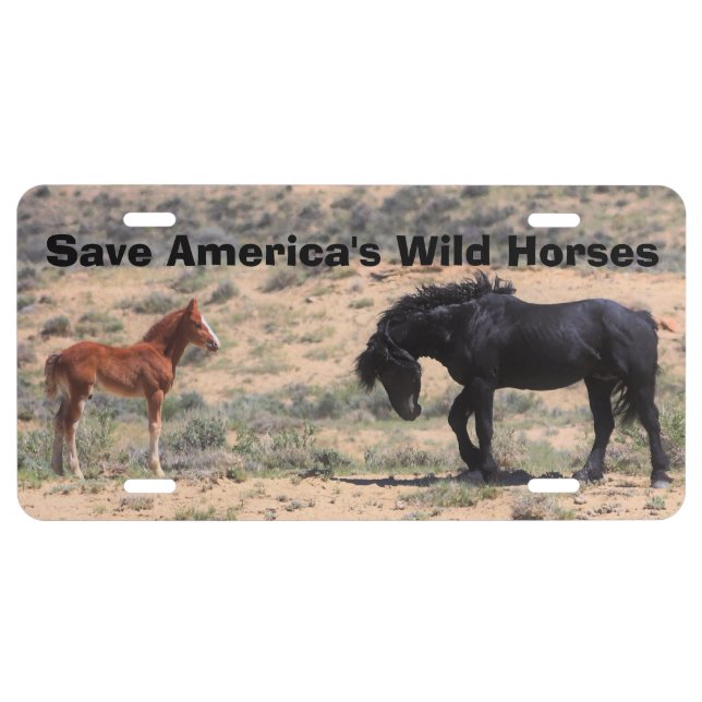 Save America's Wild Horses Bubba License Plate (Front)