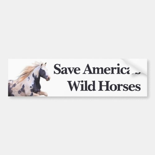 Save Americas Wild Horses Bumper Sticker