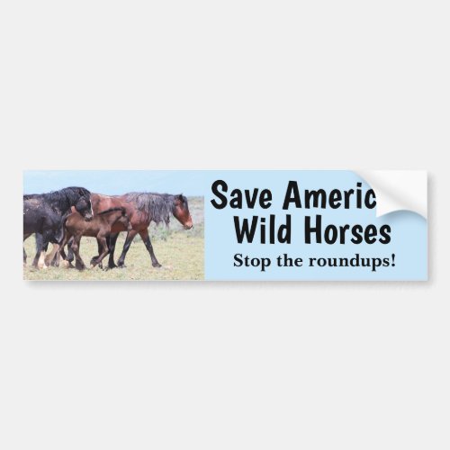 Save Americas Wild Horses Bumper Sticker