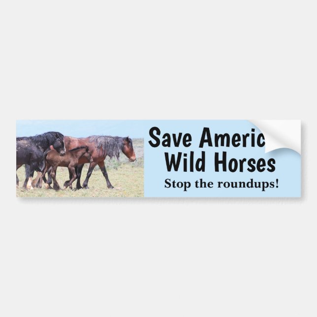 Save America's Wild Horses Bumper Sticker (Front)