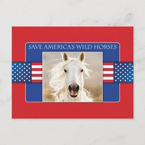 Save Americas Wild Horses Postcards