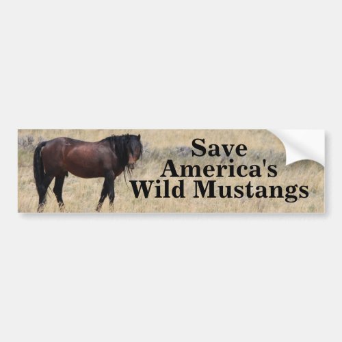 Save Americas Wild Mustangs Bumper Sticker