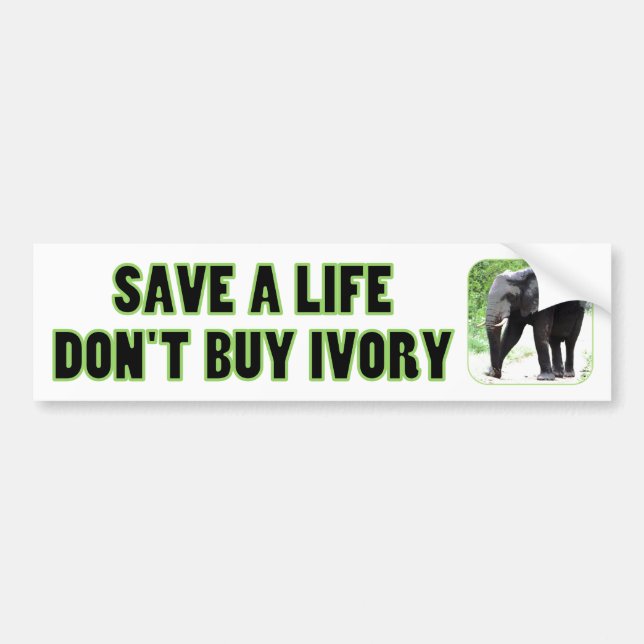 Save an Elephant's Life, Don't Buy Ivory Bumper Sticker (Front)