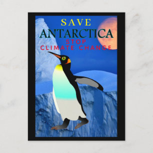 Save Antarctica Emperor Penguin Full Moon Glacier  Postcard
