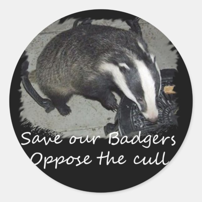 Save British Badgers, oppose the badger cull Classic Round Sticker (Front)