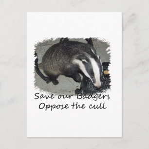 Save British Badgers, oppose the badger cull Postcard
