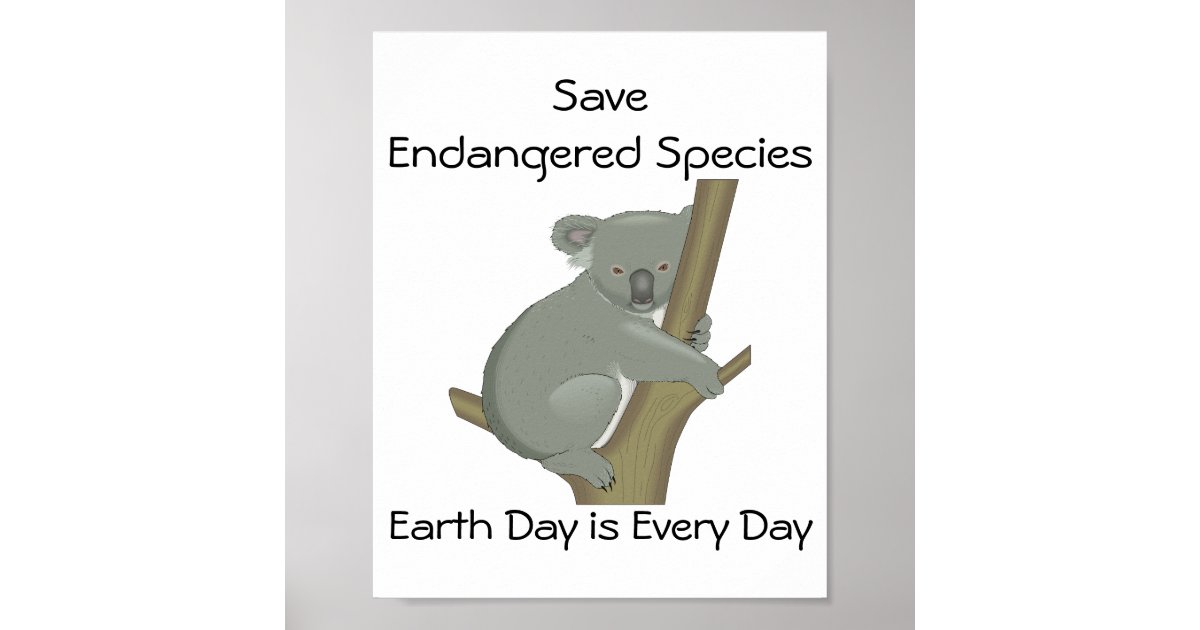 Why are Koalas Endangered? - Earth.Org Kids