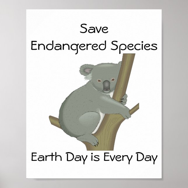 Save Endangered Species Koala  Poster (Front)