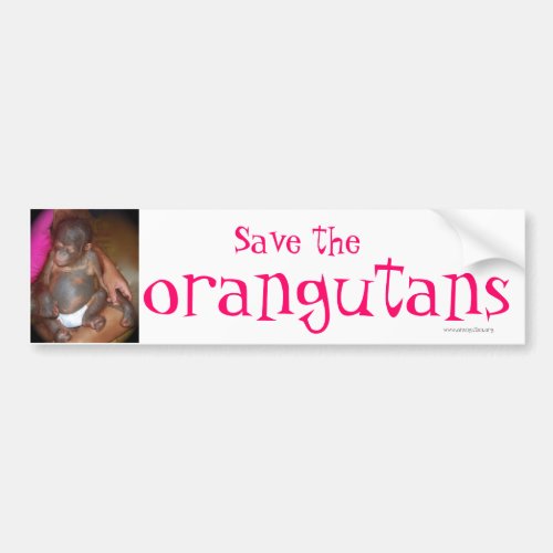 Save Endangered Species  orangutans Bumper Sticker