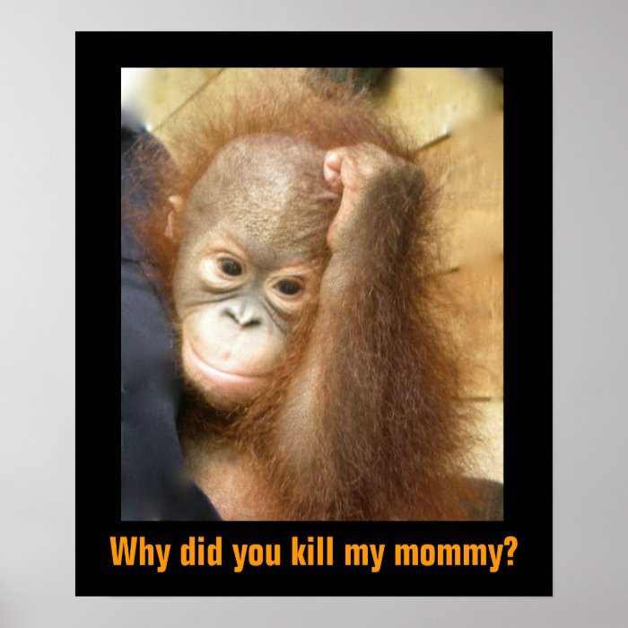 Save Endangered Wildlife Orphan Orangutan Poster