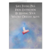Save flying pigs (Front)