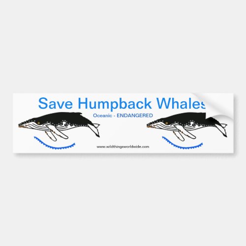 Save Humpback WHALES _ Animal activist _ Nature Bumper Sticker