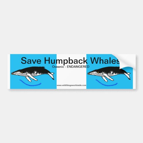 Save Humpback WHALES _ Wildlife warrior _ Nature Bumper Sticker